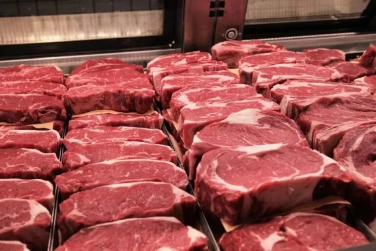Sector cárnico mexicano busca reforzar la sanidad animal para proteger producción, comercio y cadenas de suministro.