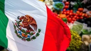 Contenedores de mercancías en un puerto comercial de Bélgica que representa las oportunidades de exportación para productos mexicanos.